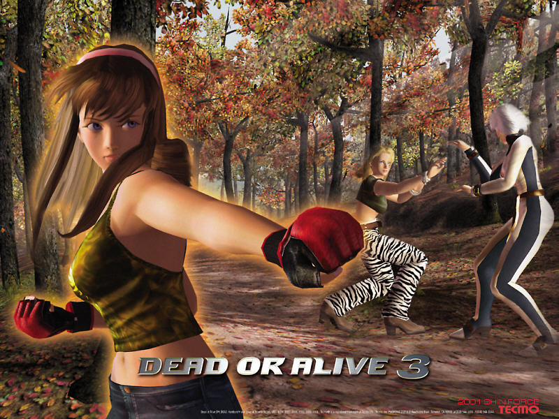 Dead or Alive 3: Die Hitomi | 800x600