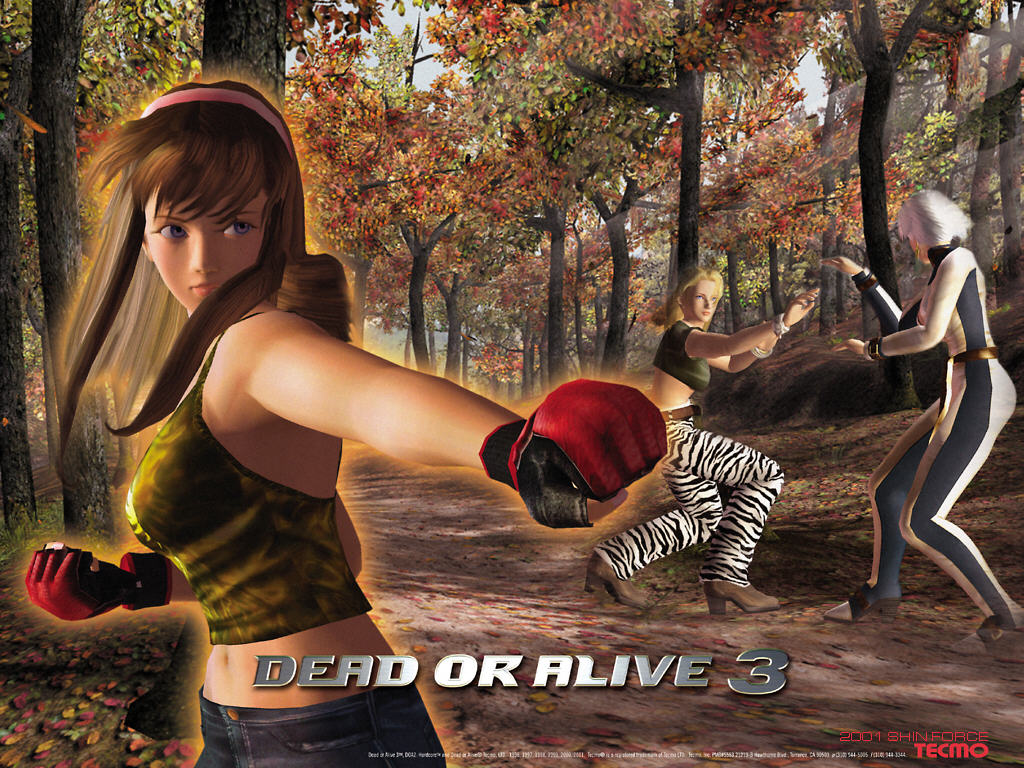 Dead or Alive 3: Die Hitomi | 1024x768